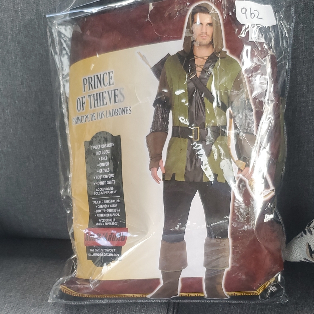 Prince of Thieves Costume